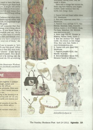 Sunday-Business-Post-April-24th-2011